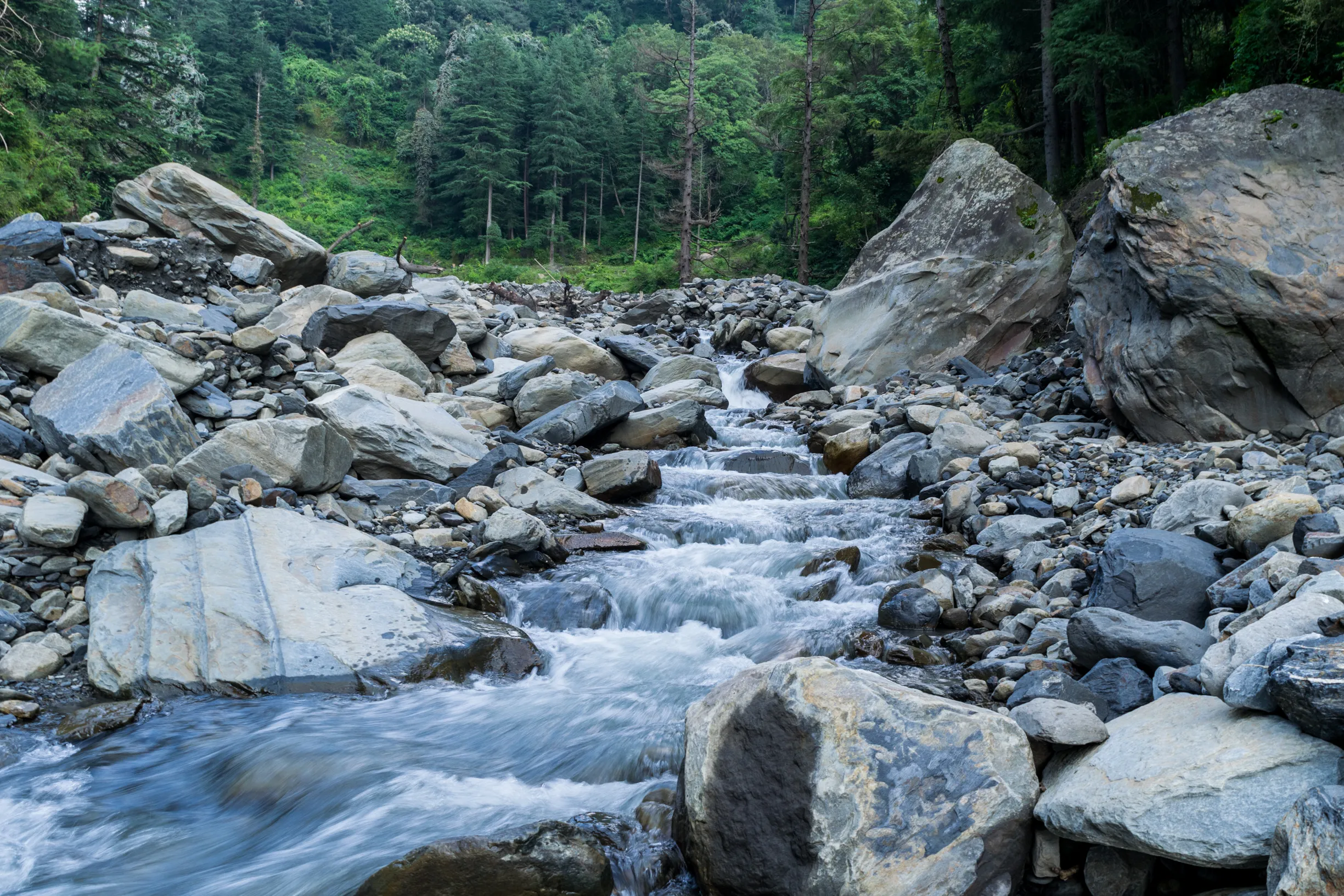 Bungee & Waterfall Trek