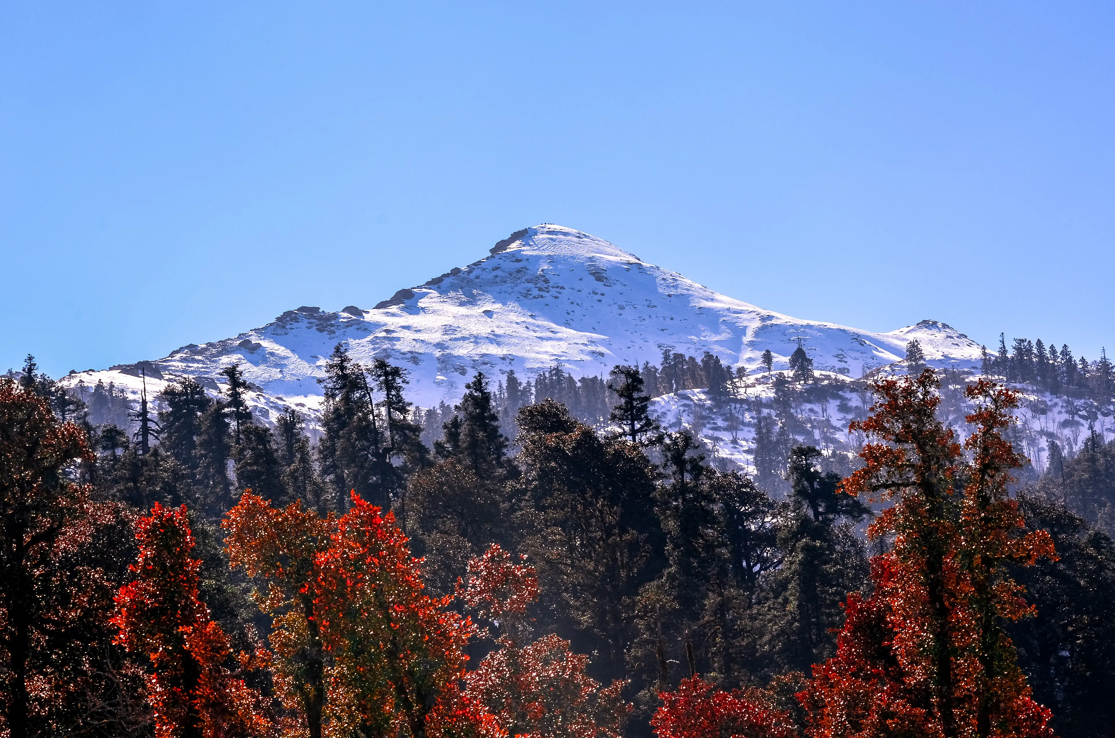 Kedarkantha Trek — Premium — Sankri, Uttarakhand