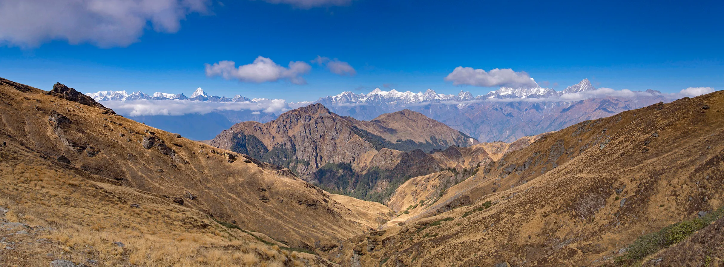 Kuari Pass Trek — Premium — Joshimath, Uttarakhand