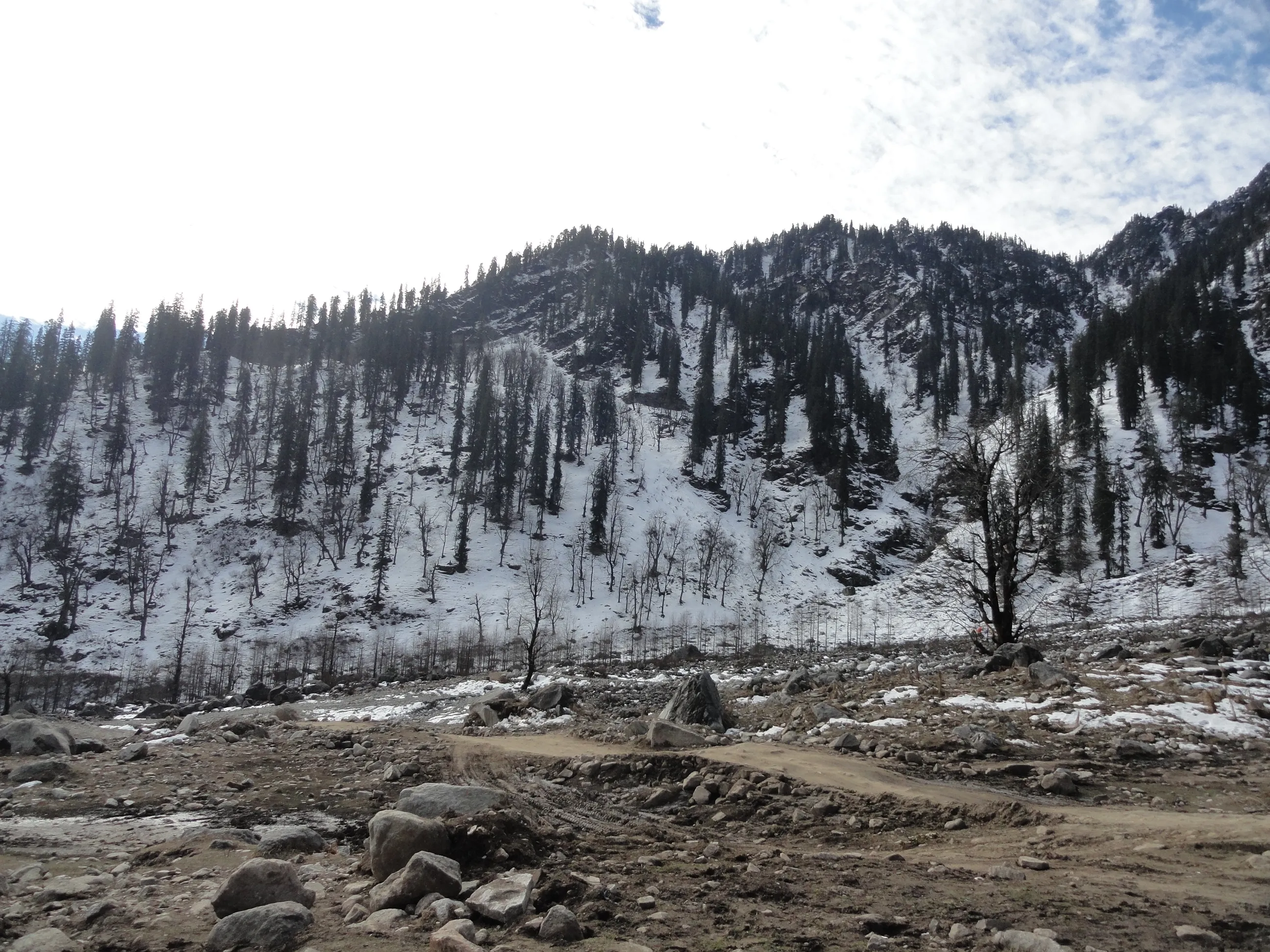 Paragliding at Solang (Manali)