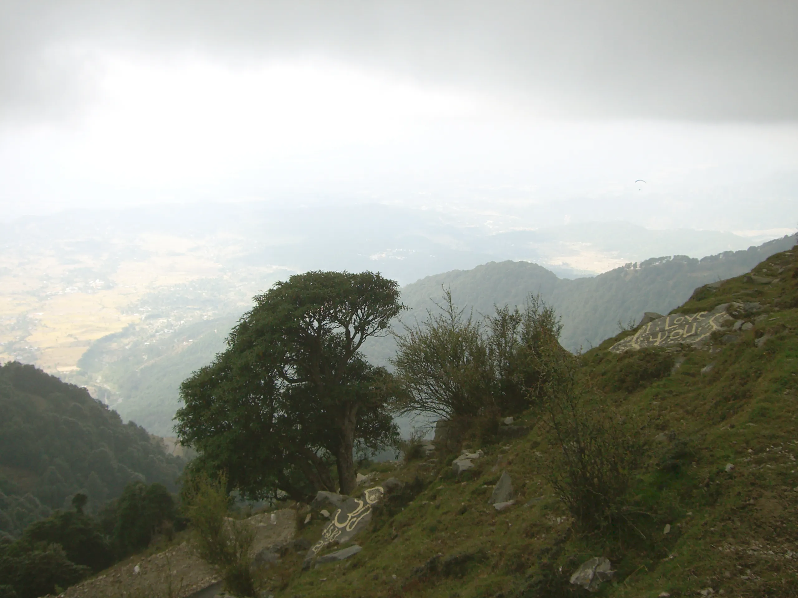 Tattani Hot Spring Camping — Bir Billing — Bir Billing, Himachal Pradesh